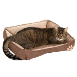Basic Cuddle Bed 54 X 48 X 11 Cm (L X W X H) -Pet Shop 104120 katze fg 8192 8