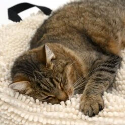 Dog Cushion - Cream 70 X 70cm (L X W) -Pet Shop 104122 katze fg 5644 5