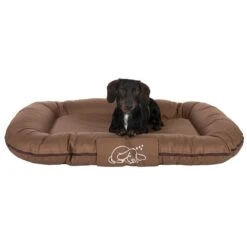 Strong And Soft Dog Cushion Approx. 100 X 70 X 13cm (L X W X H) -Pet Shop 104126 strong soft matratze fg 6395 6 2