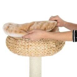 Banana Leaf Bali Cat Tree Beige -Pet Shop 105457 banana leaf kratzbaum bali fg 8 5