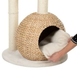 Laguna Cat Tree Cream 20 Laguna Cat Tree Cream -Pet Shop 105458 kratzbaum laguna fg 4 6