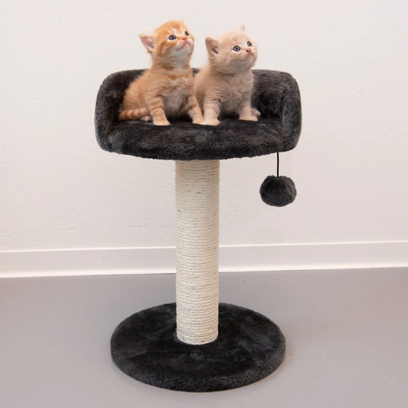 Enio Cat Tree Dark Grey 5 Enio Cat Tree Dark Grey - Image 3