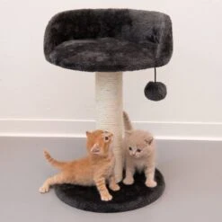 Enio Cat Tree Dark Grey 21 Enio Cat Tree Dark Grey -Pet Shop 109209 enio mit katzen fg 1669 1