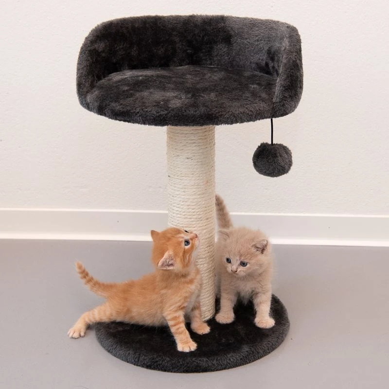 Enio Cat Tree Dark Grey 12 Enio Cat Tree Dark Grey - Image 10