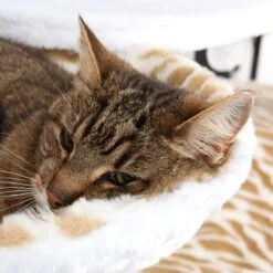 White Tiger XXL Cat Tree White (2 Packages) -Pet Shop 110796 110896 white tiger xxl fg 0894 3