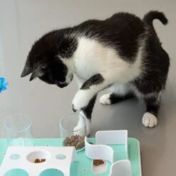 Slo-Mo Cat Toy 1 Toy 17 Slo-Mo Cat Toy 1 Toy -Pet Shop 110a75 1 8