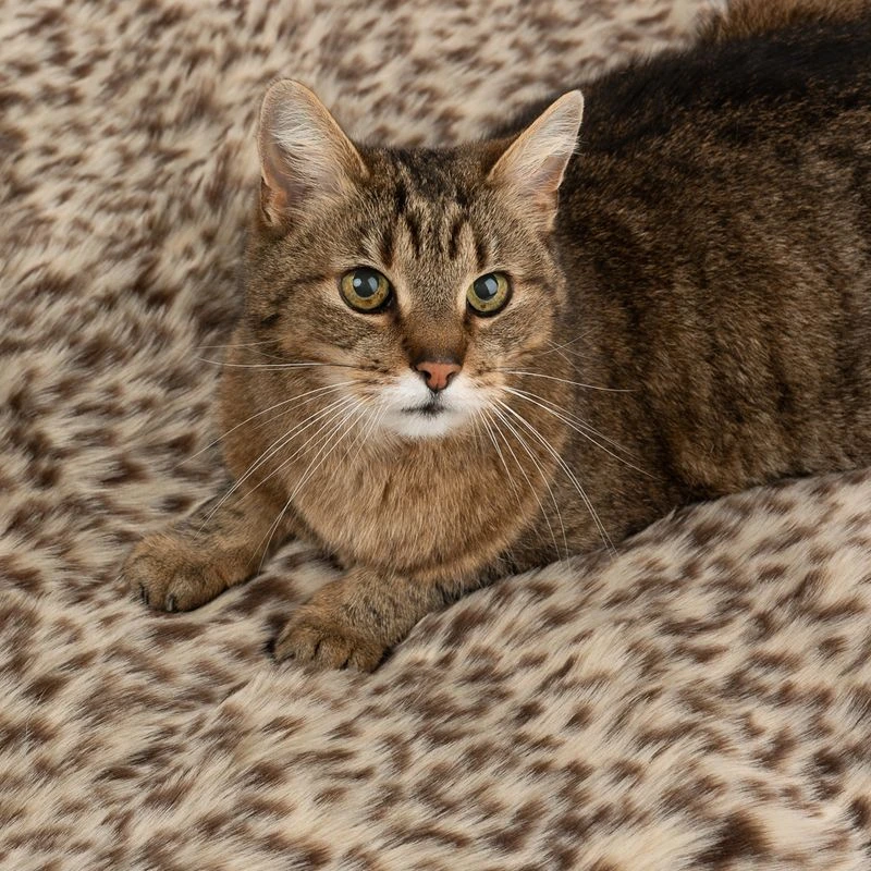 Cat Snuggle Blanket Leo 100 X 70 X 3cm (L X W X H) 5 Cat Snuggle Blanket Leo 100 X 70 X 3cm (L X W X H) - Image 3