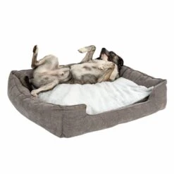 Dog Bed Austin Memory Foam 110 X 90 X 24cm (L X W X H) 29 Dog Bed Austin Memory Foam 110 X 90 X 24cm (L X W X H) -Pet Shop 111542 hundebett mem foam austin fg 0510 2 1