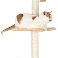 Orion Cat Tree Beige 24 Orion Cat Tree Beige -Pet Shop 113601 orion mit katze fg 1473 8