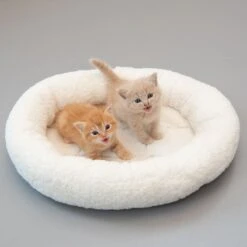 Fluffy 2-in-1 Cuddle Bed Dark Green -Pet Shop 113703 fluffy 2in1 mit katze fg 1677 0