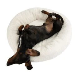 Snuggle Bed Angora Diameter 55cm X Height 16cm -Pet Shop 116108 hundebett fg 2791 6