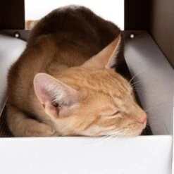 XL Cat House with Scratching Pad Winter Edition 58 X 36 X 41cm (L X W X H) -Pet Shop 116301 xl katzenhaus home inkl kratzbrett fg 3669 3