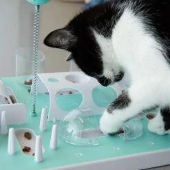 Slo-Mo Cat Toy 1 Toy 19 Slo-Mo Cat Toy 1 Toy -Pet Shop 119bd9 1 7