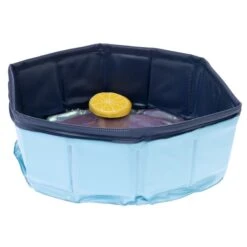Kitty Pool With Floating Toys 30 X 10cm (diameter X H) -Pet Shop 129198 kitty pool fg 0624 9