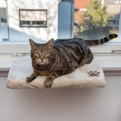 Pluschi Windowsill Seat 50 X 35 X 5cm (L X W X H) -Pet Shop 129296 mit katze fg 5738 7