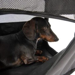 Fiona Collapsible Dog Transport Box Size M: 45.5 X 68.5 X 56cm (W X D X H) -Pet Shop 173100 faltbare hundekiste fiona fg 6338 4 1