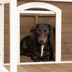 Doug Dog Kennel Size M: 103.7 X 112 X 70cm (L X D X H) -Pet Shop 179298 hundehu tte doug s fg 7227 6