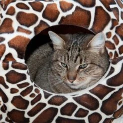 Cat Bed Schildi, 2 In 1 60 X 45 X 28 Cm (L X W X H) -Pet Shop 179485 bett schildi4 1