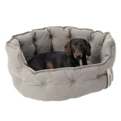 Cozy EcoLIFE Dog Bed Grey Wash Bag XL: 75 X 80cm (L X W) 28 Cozy EcoLIFE Dog Bed Grey Wash Bag XL: 75 X 80cm (L X W) -Pet Shop 180712 cozy ecolife grau fg 6348 2 2
