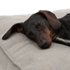 Hamilton EcoLIFE Dog Bed Grey 90 X 62 X 12 Cm (L X W X H) -Pet Shop 180715 hamilton ecolife grau fg 6400 5