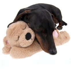 Mr Snugglez Dog Toy Approx. 31 X 14 X 14cm (L X W X H) -Pet Shop 193223 mr snugglez fg 7907 1