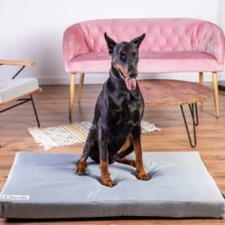 Classic Dog Mattress 120 X 75 X 10 Cm (L X W X H) 23 Classic Dog Mattress 120 X 75 X 10 Cm (L X W X H) -Pet Shop 203327 203328 geop zooplusexclusive hundematratze classic hs 13 6