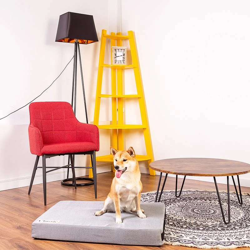 Classic Dog Mattress 120 X 75 X 10 Cm (L X W X H) 10 Classic Dog Mattress 120 X 75 X 10 Cm (L X W X H) - Image 8