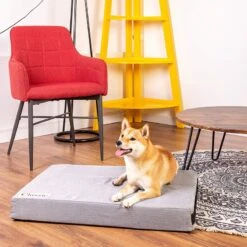 Classic Dog Mattress 120 X 75 X 10 Cm (L X W X H) 15 Classic Dog Mattress 120 X 75 X 10 Cm (L X W X H) -Pet Shop 203327 203328 geop zooplusexclusive hundematratze classic hs 15 0
