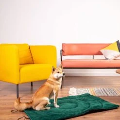 Compass Travel Dog Mat 100 X 70 X 3 Cm (L X W X H) -Pet Shop 203427 geop reise hundematte kompass hs 01 5