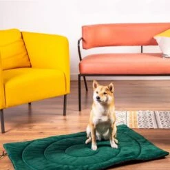 Compass Travel Dog Mat 100 X 70 X 3 Cm (L X W X H) -Pet Shop 203427 geop reise hundematte kompass hs 02 3