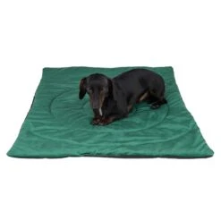 Compass Travel Dog Mat 100 X 70 X 3 Cm (L X W X H) -Pet Shop 203427 reisedecke kompass fg 0152 2