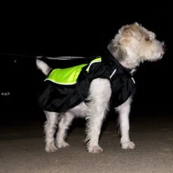 Dog Coat Illume Nite Neon Approx. 40cm Back Length -Pet Shop 222247 illume nite 35 dsc1934 3 4