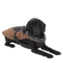 Dog Coat Grizzly II Approx. 55cm Back Length -Pet Shop 222270 hundemantel grizzly ii 30 8 5