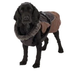 Dog Coat Grizzly II Approx. 65cm Back Length -Pet Shop 222270 hundemantel grizzly ii 32 3 1