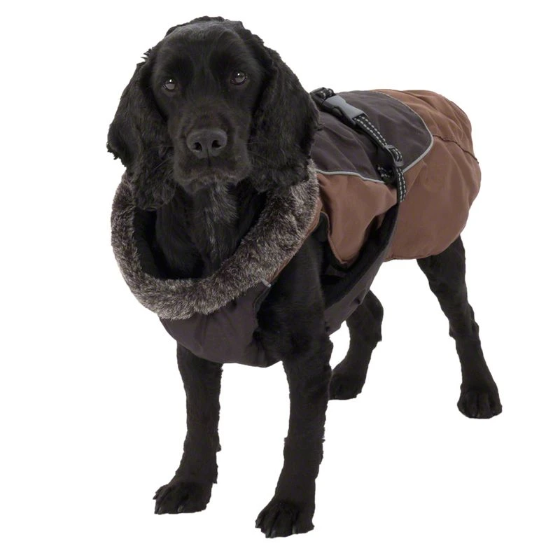 Dog Coat Grizzly II Approx. 45cm Back Length 11 Dog Coat Grizzly II Approx. 45cm Back Length - Image 9