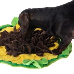 Sniffing Carpet Sunnyflower Ø 50 Cm -Pet Shop 229108 sunnyflower fg 0609 1
