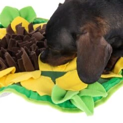 Sniffing Carpet Sunnyflower Ø 50 Cm -Pet Shop 229108 sunnyflower fg 0615 9