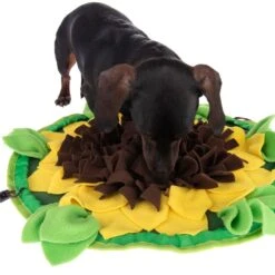 Sniffing Carpet Sunnyflower Ø 50 Cm -Pet Shop 229108 sunnyflower fg 0639 1
