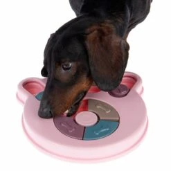 Intelligence Snack Paw Toy 24 X 24 X 3.2cm (L X W X H) -Pet Shop 230497 snack paw fg 0739 4