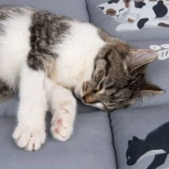 Cat Cushion Medley L 55 X W 45 X H 6 Cm -Pet Shop 233899 katzenkissen medley fg 9770 3