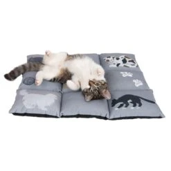 Cat Cushion Medley L 55 X W 45 X H 6 Cm -Pet Shop 233899 katzenkissen medley fg 9775 0
