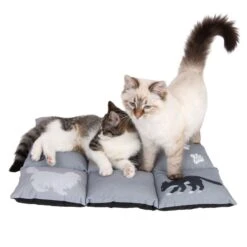 Cat Cushion Medley L 55 X W 45 X H 6 Cm -Pet Shop 233899 katzenkissen medley fg 9787 6