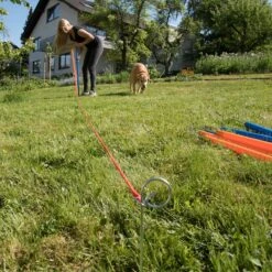 Agility Fun & Sport Slalom Set 12-pack -Pet Shop 23798 agility fun sport slalom set fg 4 3