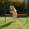 Agility Fun & Sport Hurdle Complete Set For One Hurdle -Pet Shop 23799 agility fun sport huerde fg 10 9