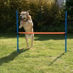 Agility Fun & Sport Hurdle Complete Set For One Hurdle -Pet Shop 23799 agility fun sport huerde fg 8 6