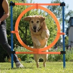 Agility Fun & Sport Jumping Hoop Complete Set: Jumping Hoop, Diameter 55 Cm -Pet Shop 23800 agility fun sport sprungring fg 12 8