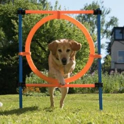Agility Fun & Sport Jumping Hoop Complete Set: Jumping Hoop, Diameter 55 Cm