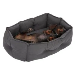 Cuddle Bed Silky L 80 X W 60 X H 21 Cm -Pet Shop 278696 kuschelbett silky hs 13 3