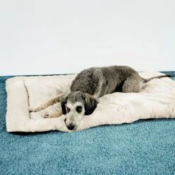Self Heating Bed Cushion L 65 X W X H 50 X 6 Cm -Pet Shop 288354 291896 waagenschmitt hundekissen selfheating bed hs 08 3 1