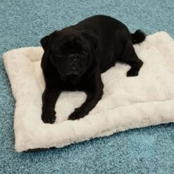 Self Heating Bed Cushion L 65 X W X H 50 X 6 Cm -Pet Shop 288354 291896 waagenschmitt hundekissen selfheating bed hs 09 2 1